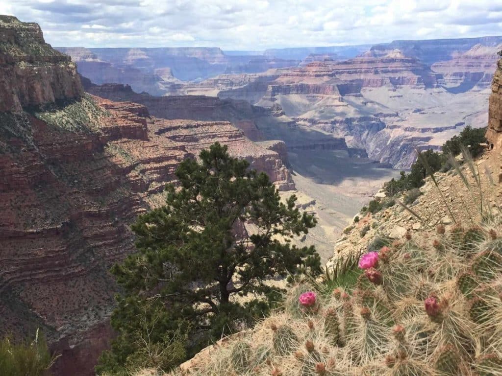 Sedona day trip to Grand Canyon landscape