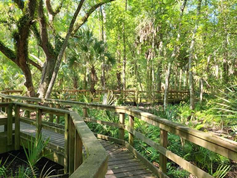 Things to do in Hilton Head ultimate list