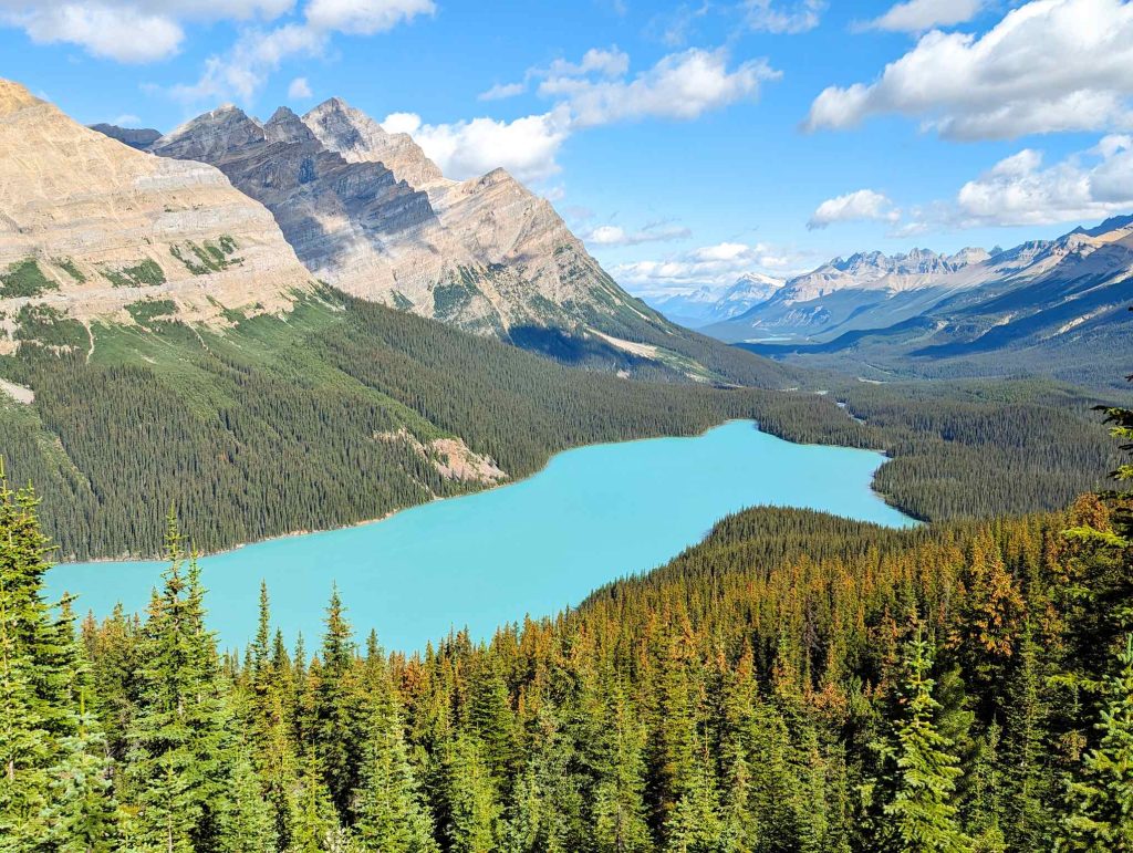 Icefields Parkway stop at Peyto Lake